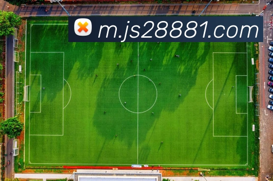 奖项图2